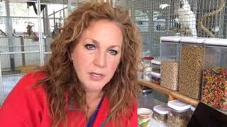 Coffee With The Critters - Hurricane Irma, Emergency Preparedness, & Recovery