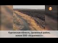 Комбайн Курганская область