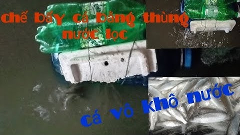 Chế bẩy cá bằng thùng nước lọc cá vô đầy thùng _ Nguyễn Khang Vlogs