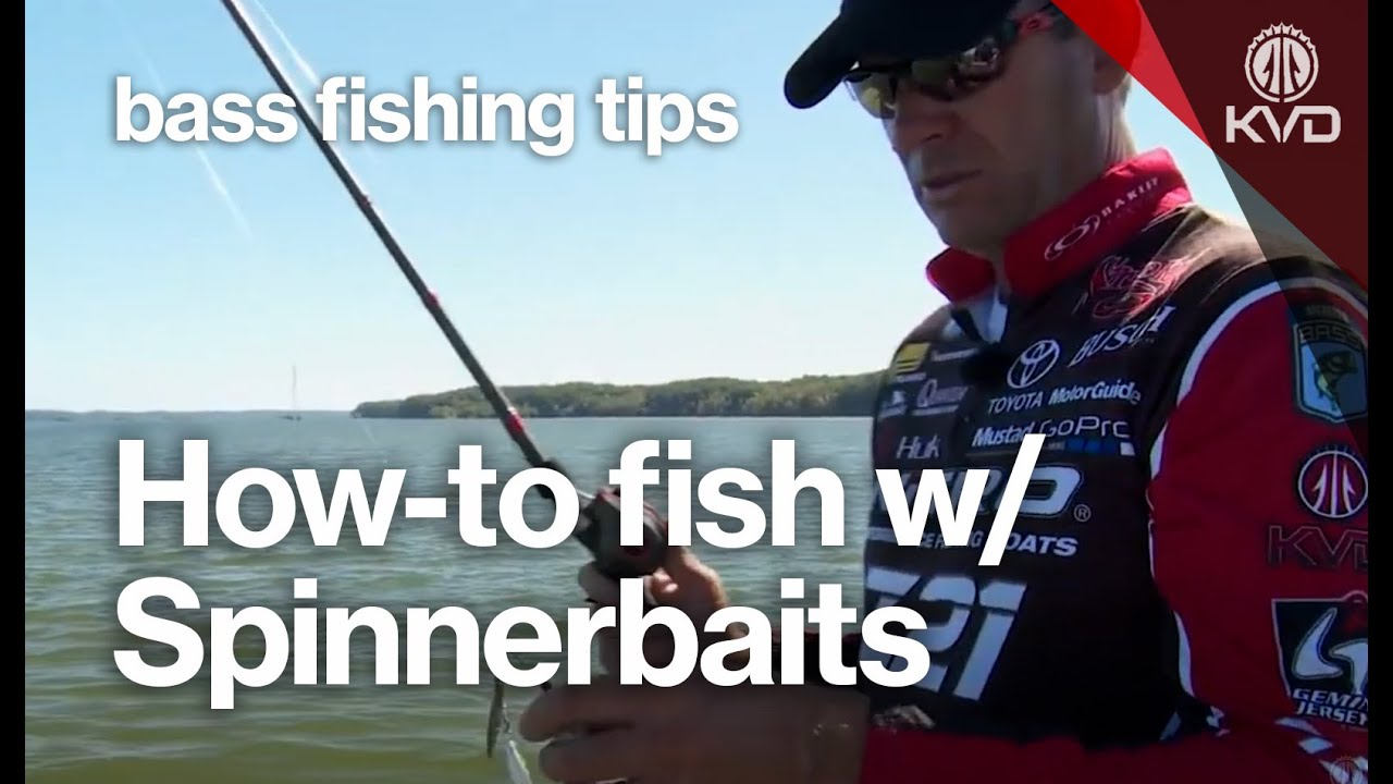 The Ultimate spinnerbait guide and fishing tips — with KVD 