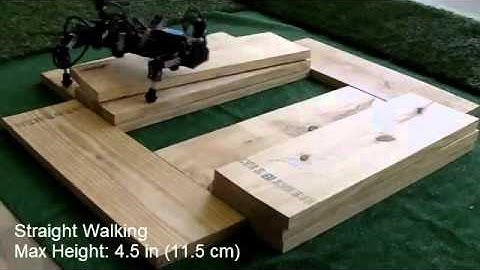 Bio-Inspired Hexapod Robot walking and walking and walking