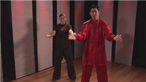 Kung Fu : Hook Block & Palm Strike Combo