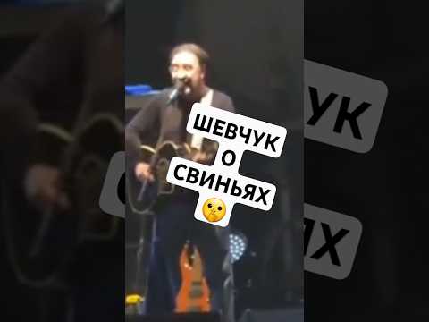 СВИНЬЯ НА РАДУГЕ ДДТ #shorts #омузыке #интересно #ддт #минуткаистории #рок