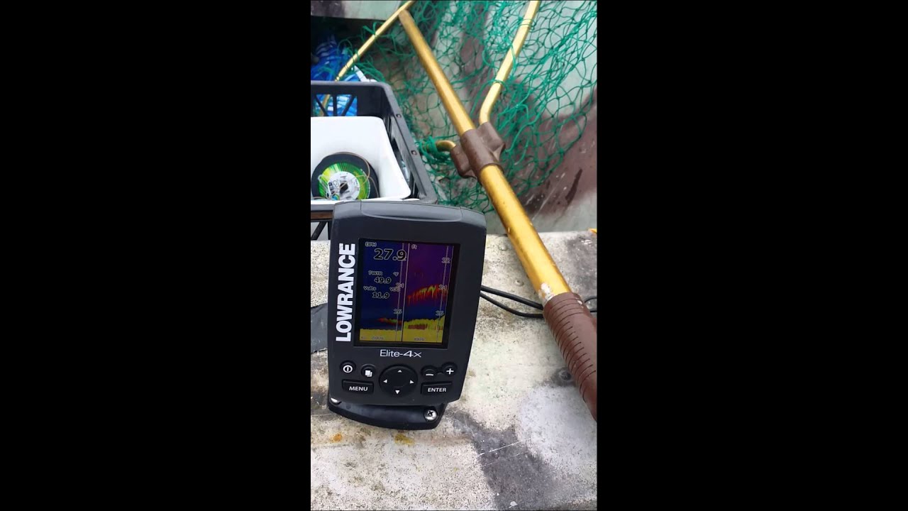 Sturgeon on fish finder YouTube
