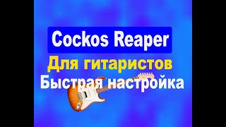 Cockos Reaper как настроить для гитариста програму и звуковую карту