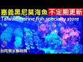 嘉義黑尼莫海魚不定期更新【Taiwan marine fish specialty store】白同學水族DIY 白同學買飼料養魚