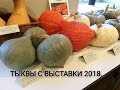 Тыквы с выставки 2018. Что выросло у меня.