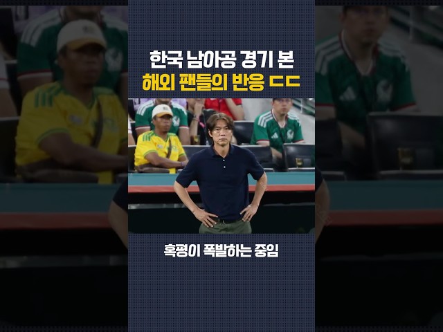 한국 남아공 경기를 본 해외 팬들의 혹평 ㄷㄷ