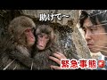 【パンチくん🐵】なぜそんなに怖がってるの⁉︎助けを求めて離れない子猿が切なすぎる