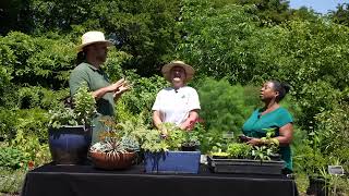 Gardening Tips with Christine Moore and Bradley Evans at the National Arboretum