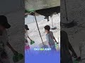 SỐC: Dàn Cảnh Mua Bưởi Để Lừa Tiền Thối Của Đứa Trẻ Trông Hàng | th29tv