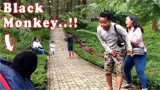 Astaghfirullah hal adzim Sabar-sabar..!! Monkey prank lucu meriah