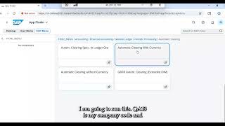 SAP36 - Automatic Clearing (FE13E)