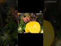 الحياة مملوء بالحجارةفلا تتعثر بها بل ابني منها سلما تصعد به إلى القمه