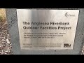 Anglesea Riverbank Project