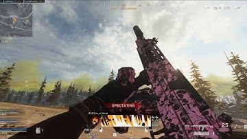 Spectating a Hacker in Warzone