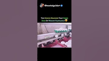 This is How Machine Sorts Eggs by Their Weight Flawlessly 😱🤯