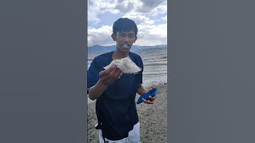 pasir pantai di tabur garam keluar cacing?? #short