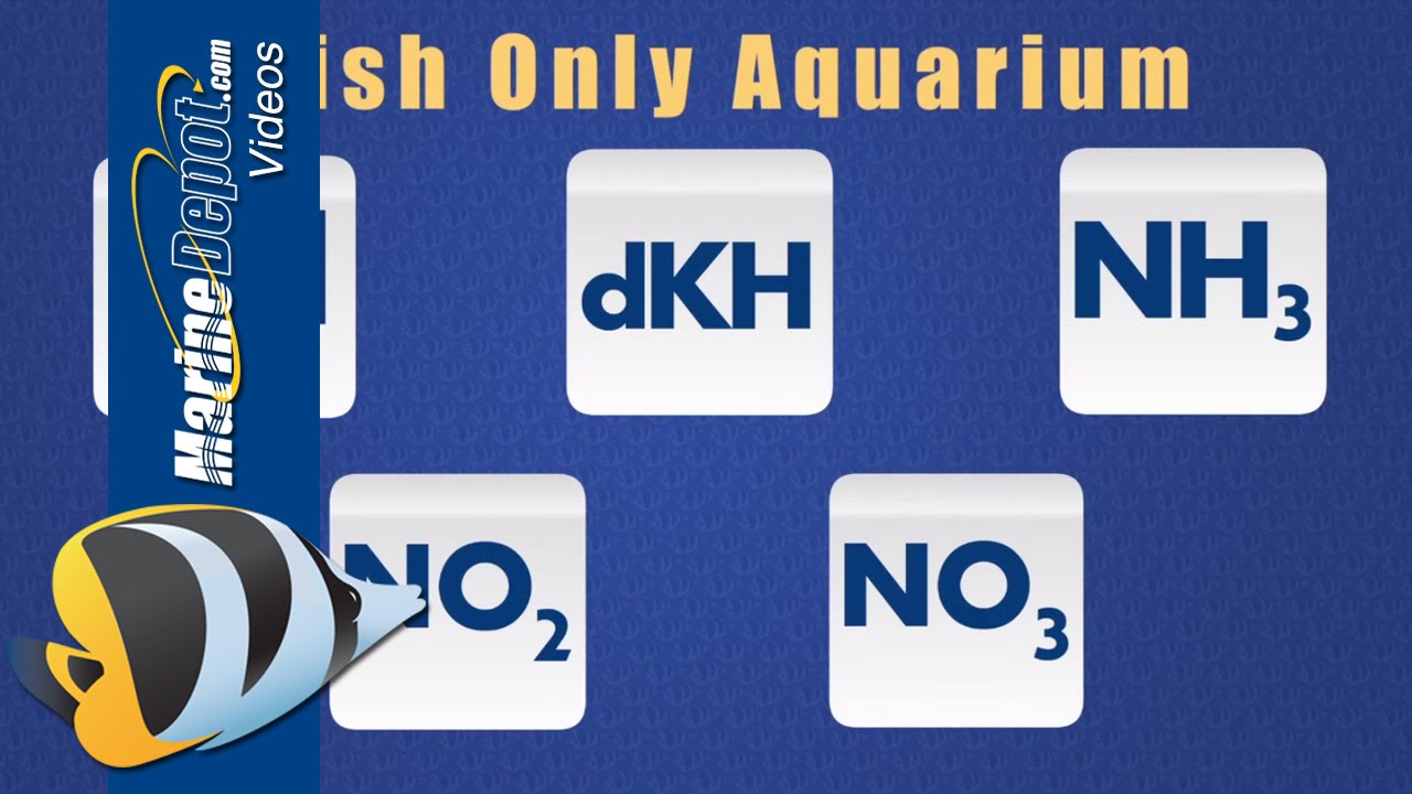 aquarium test kits parameters