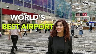 Inside Singapore Changi Airport - World's Best Airport | Curly Tales