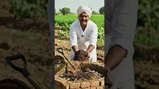 Chemical-Free Kheti Secret 😳 | Desi Farming Hack#FarmingHack #DesiJugaad #OrganicFarming