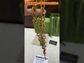 Gucci Interlocking G Chain Belt From Supkicks #supkicks #GucciInterlockingG #GucciChainBelt #Gucci
