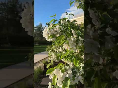 🌿 Прогулка по одному из наших объектов