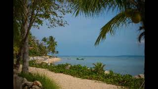 Versace Beat Yung Logos