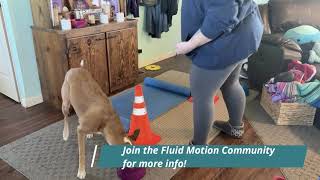 Movement Puzzles