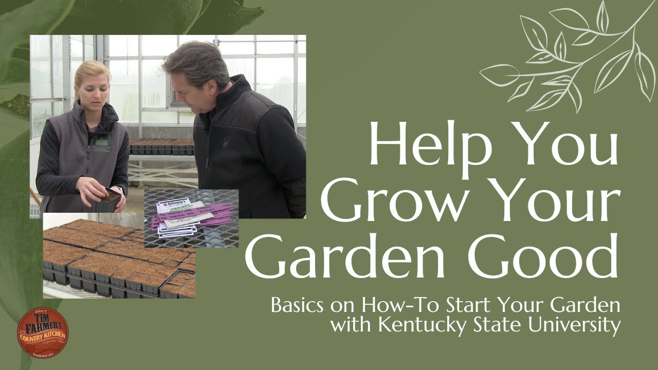 get-your-garden-started-basic-on-seeds-planting-with-kentucky-state