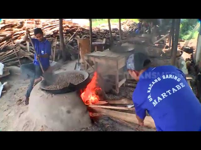 Proses Pengolahan Kacang Sihobuk | RAGAM INDONESIA (08/03/22) class=