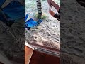 La Vida Perfecta Sí Existe 🤩
