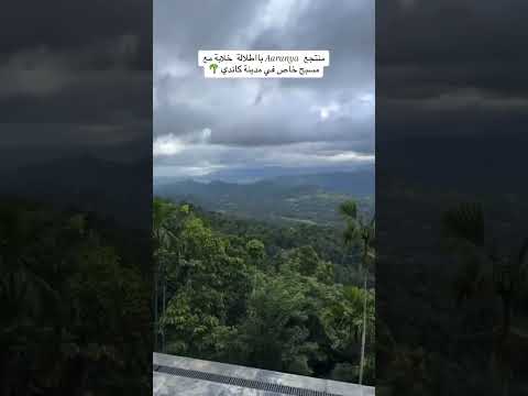 مدينة كاندي السياحية عروض الصيف السياحية الى سريلانكا سياحة Travel مشاهير سريلانكا Trouser 