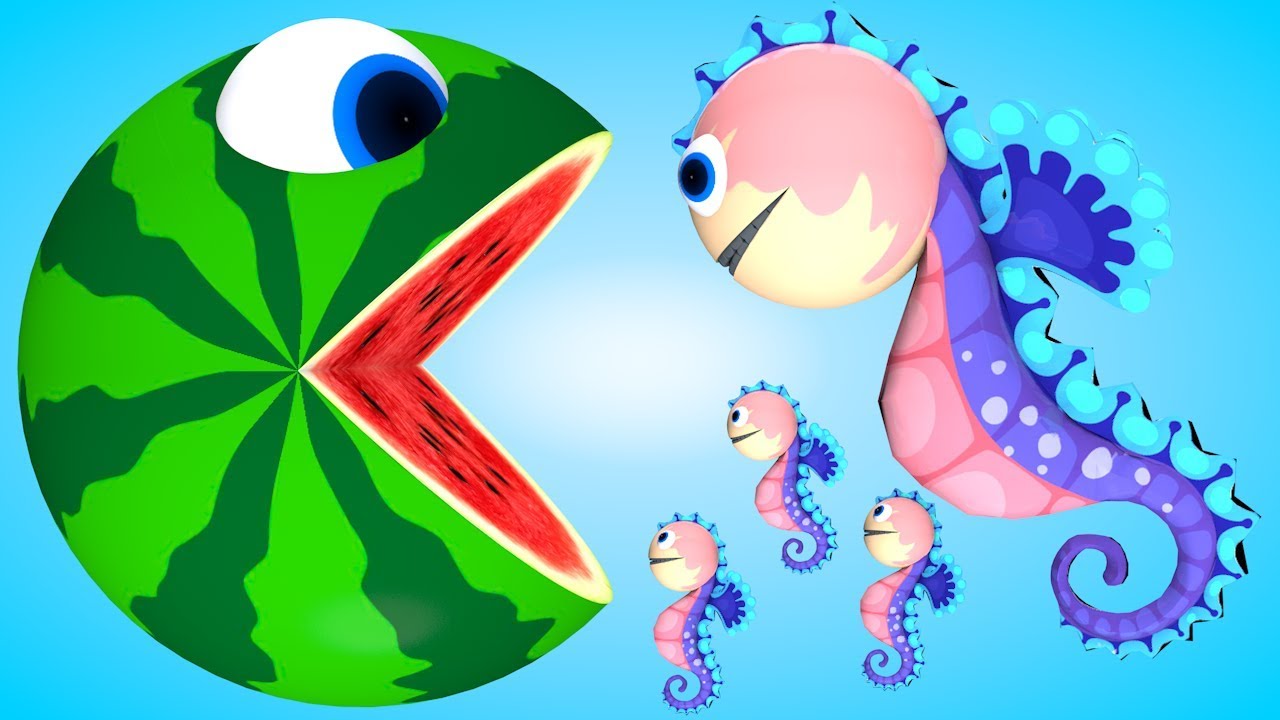 Chanson De Pasteque Pacman Hippocampe Couleur Animaux Comptines Et Chansons A Bebe Chanson Youtube Chanson De Pasteque Pacman Hippocampe Couleur Animaux Comptines Et Chansons A Bebe Chanson Youtube