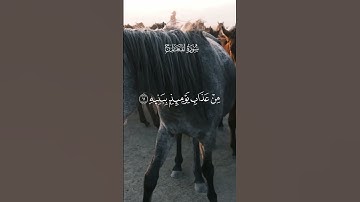 سورة المعارج الآية 8-18 | محمد اللحيدان 