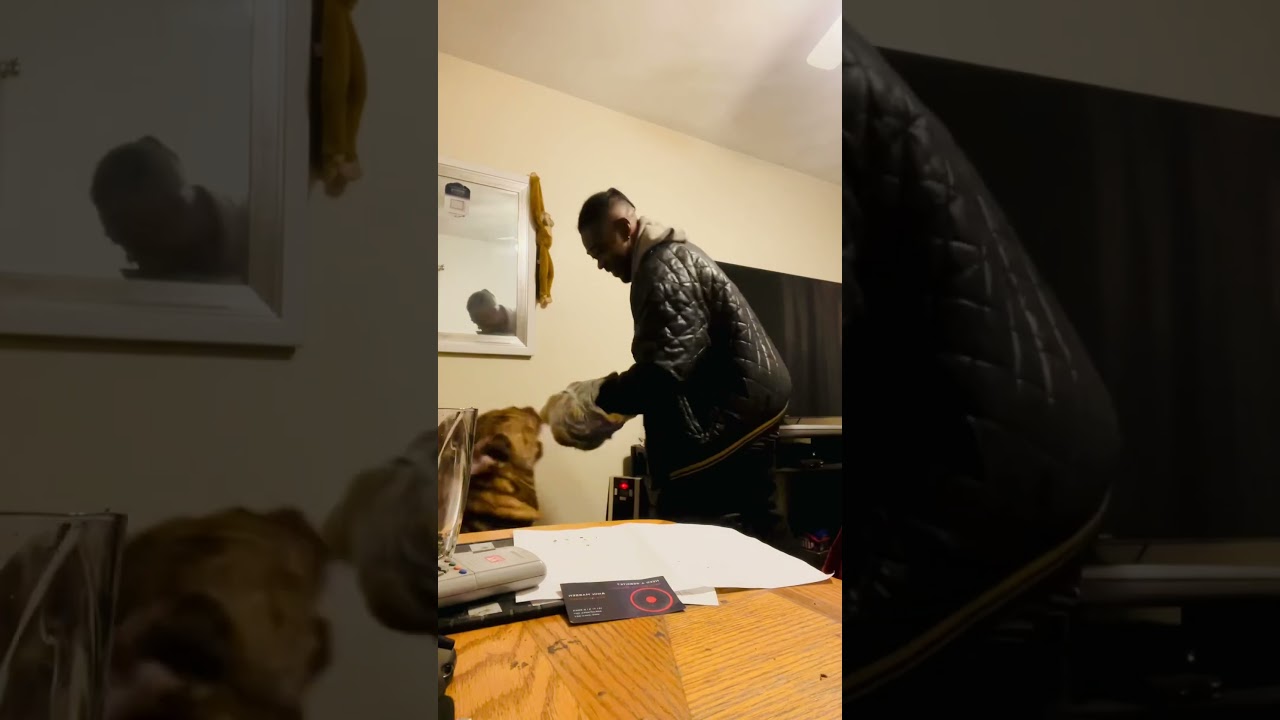 Friendly boxing with my dog… or so I thought 😅🐾