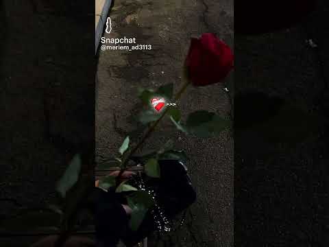 تتهلي فيا بزاف عليك تصميم فيديوهات تصميمي تيك توك