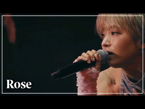 [한글자막] HANA - Rose