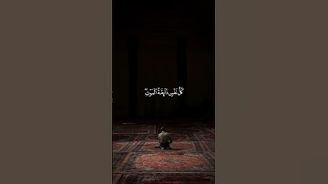 عبدالرحمن مسعد سورة العنكبوت ( كُلُّ نَفْسٍۢ ذَآئِقَةُ ٱلْمَوْتِ ۖ ثُمَّ إِلَيْنَا تُرْجَعُونَ )