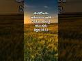 praise the🙏lord#todaypromise#jesuschrist#teluguverse#ytshorts#jesuschrist#viralshort#christionsongs#