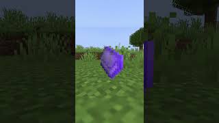 Minecraft ka Sabse RAREST Enchantment 😳 #shorts