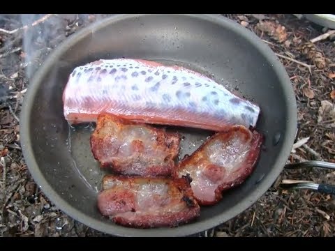 Backpack Camping High Mountain Lakes For Trout Dinners With My Dog Ash!