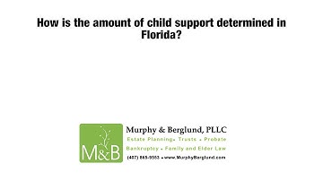 How is the amount of child support determined in Florida?
