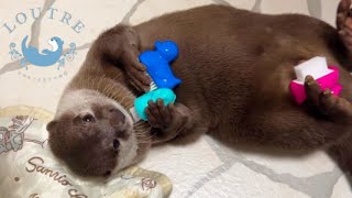 Take Care of the Otter so He doesn't Cry.