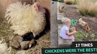 This is Why Chickens Make The Best Pets | Compilation by Animal Antics 277 views 2 years ago 4 minutes