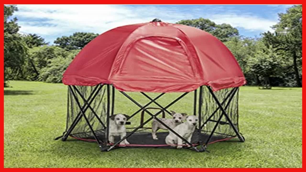 Carlson Foldable and Portable Steel Pet Exercise