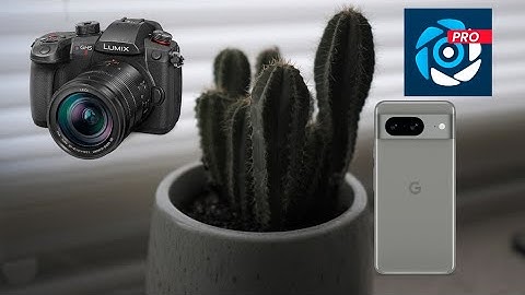 GH5 Mark 2 vs MotionCam Pro (Pixel 8)