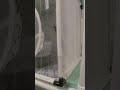 New mosquito treatment