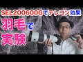 【SEL200600G】テレコンSEL14TCの解像効果【羽毛で室内実験】