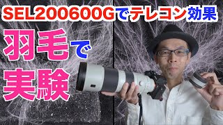 【SEL200600G】テレコンSEL14TCの解像効果【羽毛で室内実験】